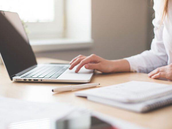 Wordpress Training for Beginners (online)